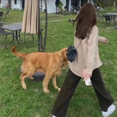 火箭:南比效应