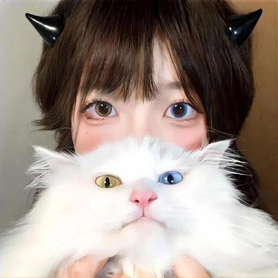 芝士火腿