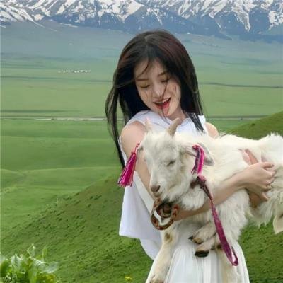 三个火枪手:达达尼昂
